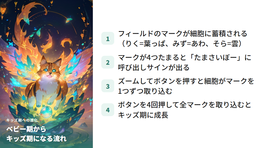 ベビー期からキッズ期への進化の仕組み(フィールドマークと時間)