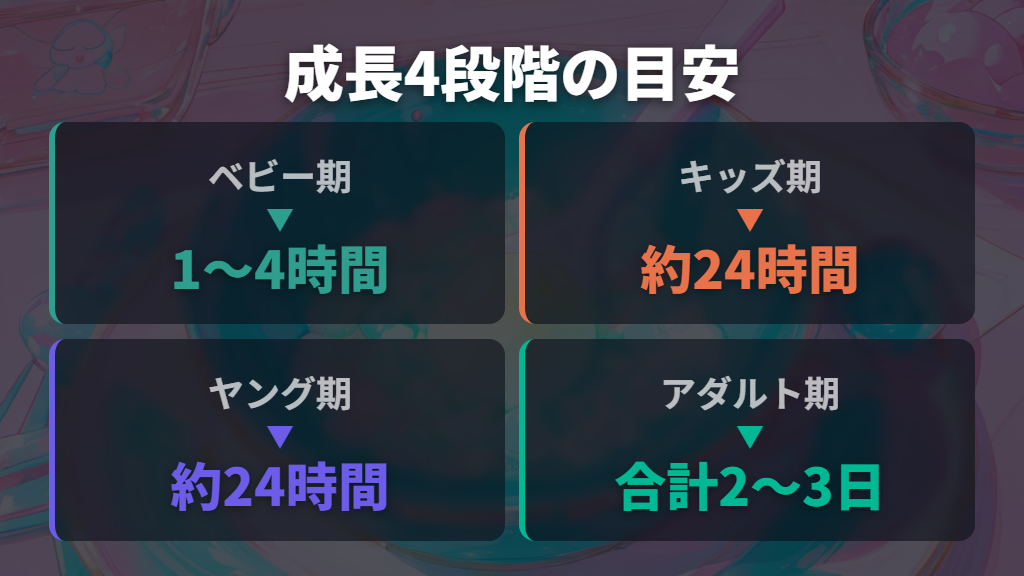 成長ステージとアダルト期に進化するまでの時間目安