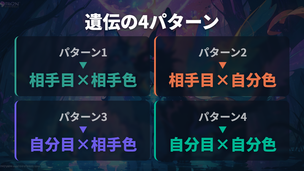 遺伝する要素：51種の目の形と16色の体の色の4パターン