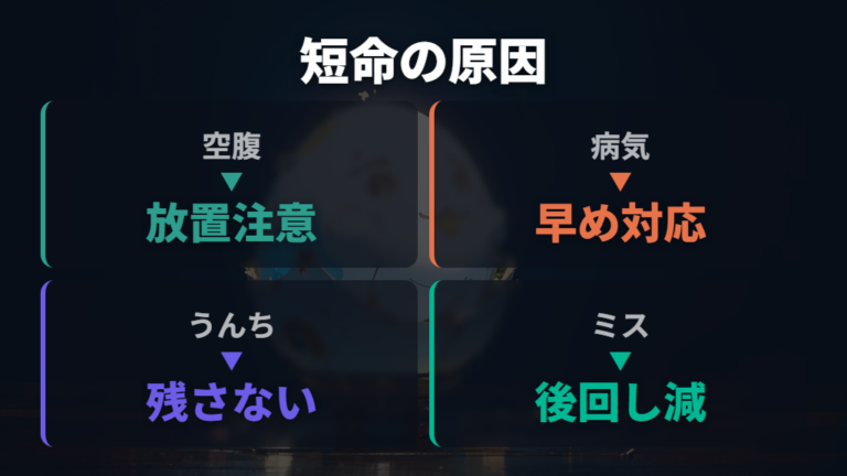 寿命が短くなる原因は空腹・病気・お世話ミスの放置にある