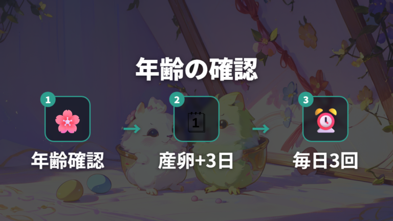 お見合いが来る年齢と条件をまず確認する