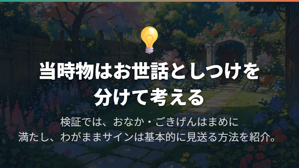 1996年当時の日本版でますくっちを目指す